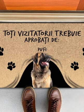 Covoraș aprobat de animalele de companie