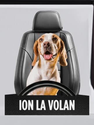 Autocolant cu fotografie - Câine la volan
