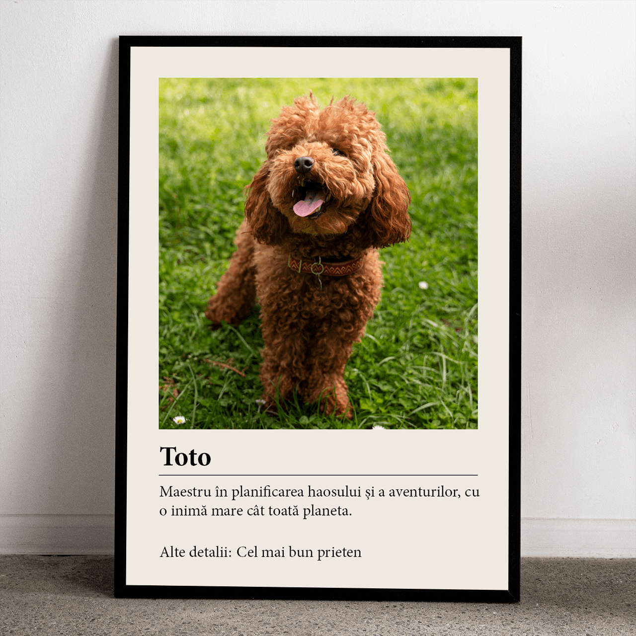 Poster personalizat - Definiția iubirii