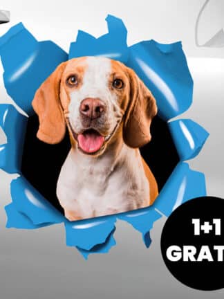 Autocolant auto personalizat 1+1 GRATIS