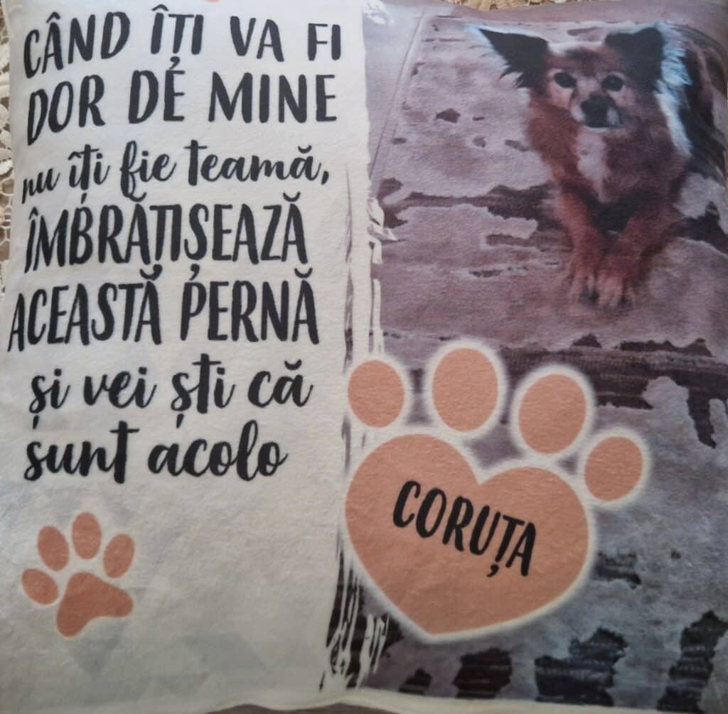 Image #1 from Osiac Georgeta