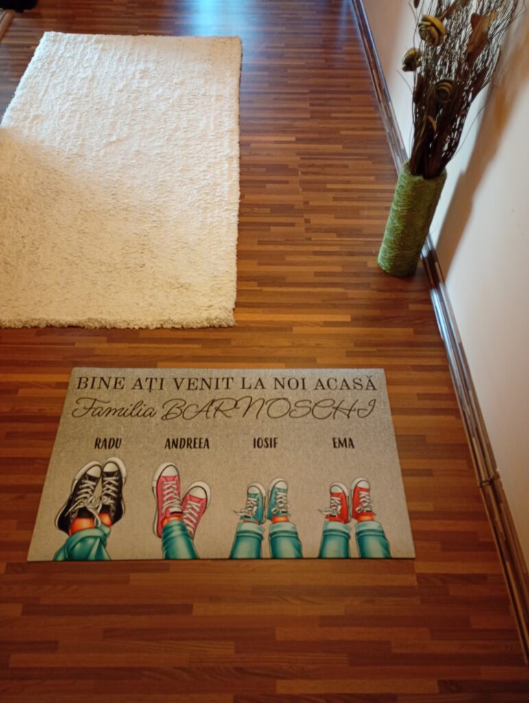 Image #1 from Barnoschi Doina